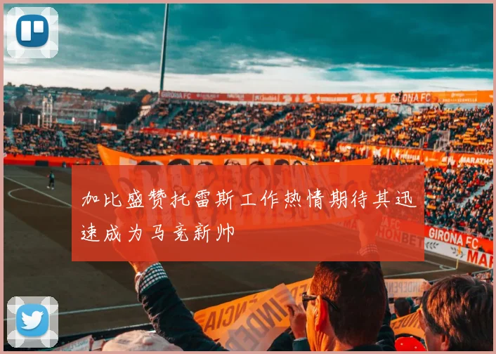 加比盛赞托雷斯工作热情期待其迅速成为马竞新帅